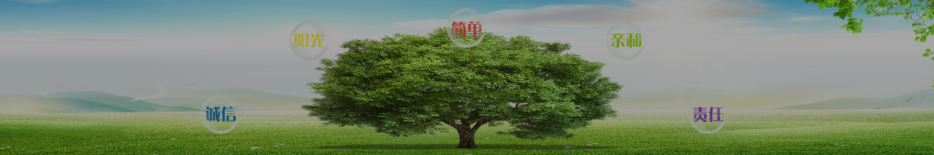 43af14454f6ae9d5b0377716bfb57b68